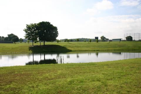 garden site 4